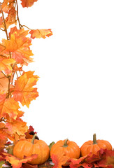 Fototapeta premium pumpkins with fall leaves