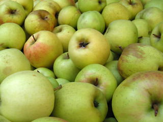 yellow apples