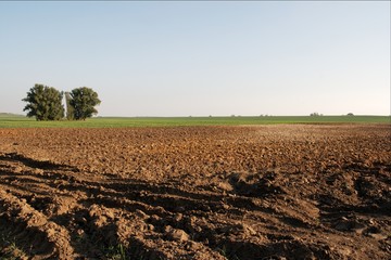 plow field