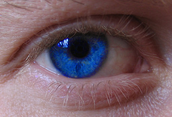 oeil bleu gp