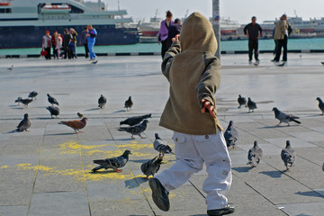 Obraz premium boy running between pigeons