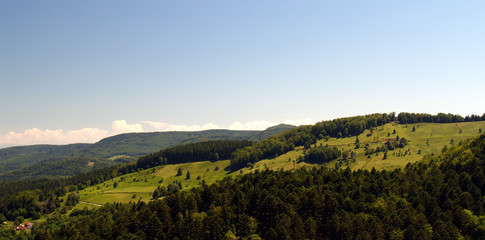hills of the vosges