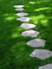 pelouse du jardin