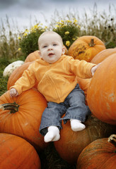 tis the season for pumpkins