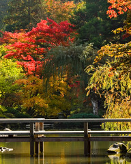 japanese garden-seattle, wa