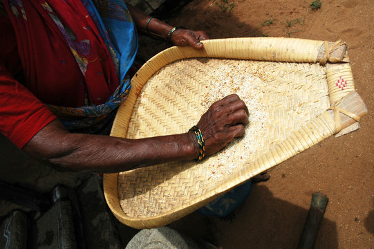 india: rice preparation
