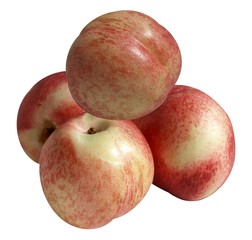 pêche
