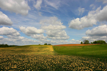 sommer