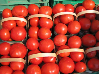 tomaten