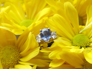 engagement ring in yellow mums