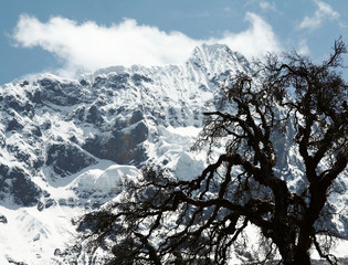 cordilleras mountain in the peru