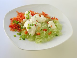 vegetable salad with cream and green leaves