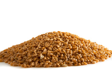 wheat seeds