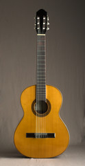 Naklejka premium guitar