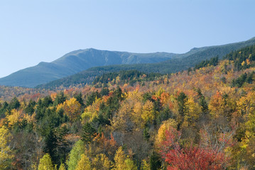 fall foliage near mount washington