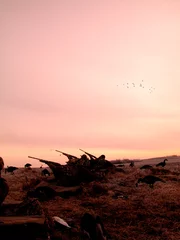 Tuinposter Goose hunters in Canada leave their blind at sunrise to open fire as a flight of birds comes in. © Guy Sagi