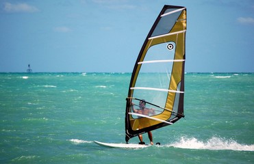 virginia key windsurfer