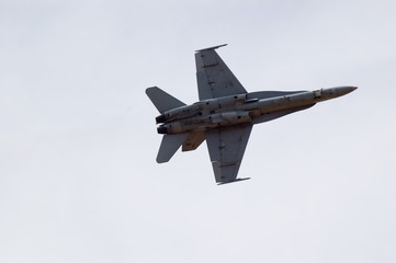 f/a-18 hornet undercarriage
