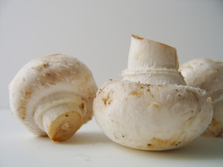 cut mushrooms