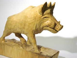 wildschwein