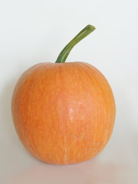 an orange big and heavy pumpkin