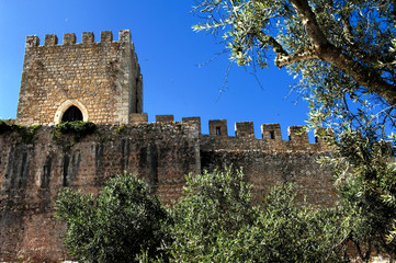 portugal, obidos: castle