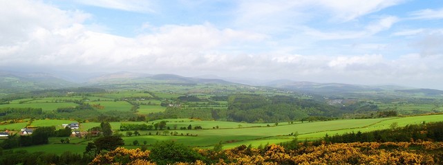 panoramic irish countryside