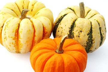 squash and pumpkin