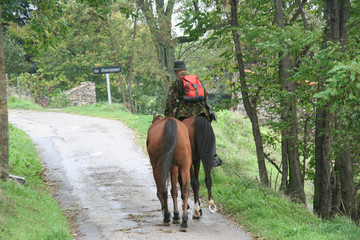 promenade a cheval