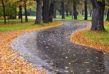 autumn road-1