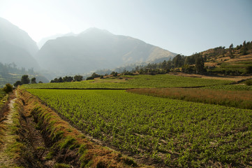 Fototapeta na wymiar peruvian rural landscape