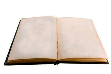 old book with blank pages