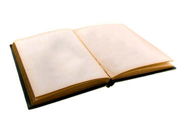 old book with blank pages