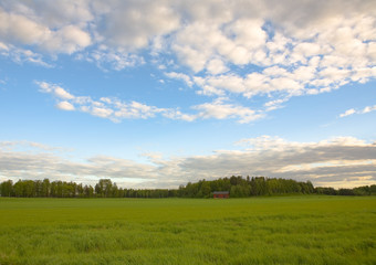 rural landscape