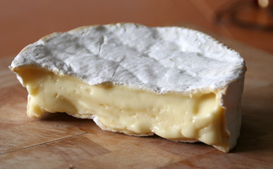 camembert