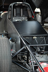 Fototapeta premium buggy