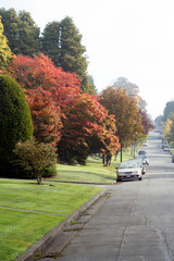 street in vancouver canada