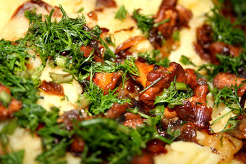 potato with mushrooms