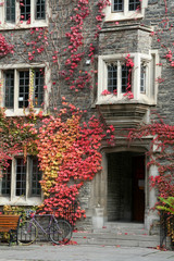 red ivy and entrance