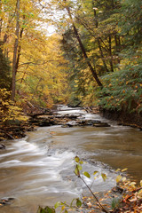 Fototapeta premium brandywine river