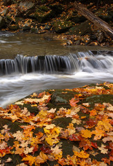 Fototapeta na wymiar jesień falls