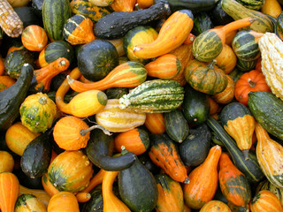assorted gourds 2