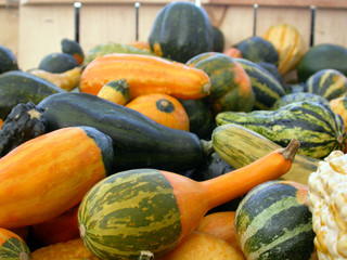 assorted gourds 1