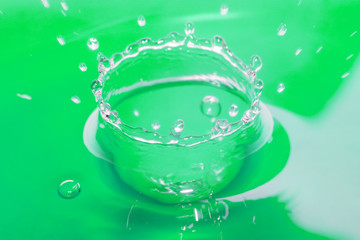 green water bowl