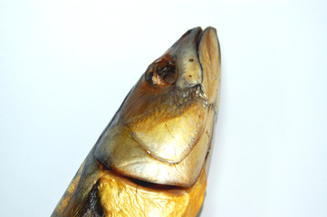 makrele kopf