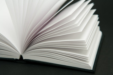 blank book