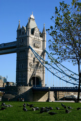 Fototapeta na wymiar tower bridge - london