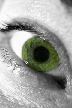 eye green