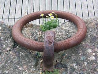 rusty ring