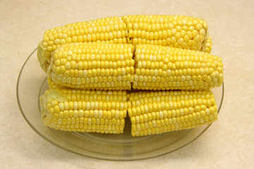 corn on the cob